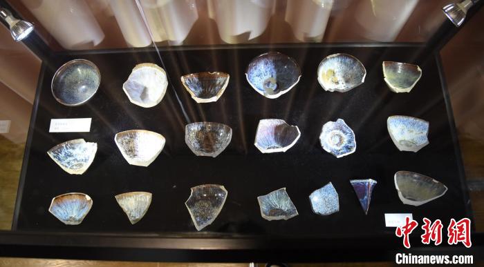 汪星侶收藏的吉州窯兔毫盞標(biāo)本。　范宇斌攝