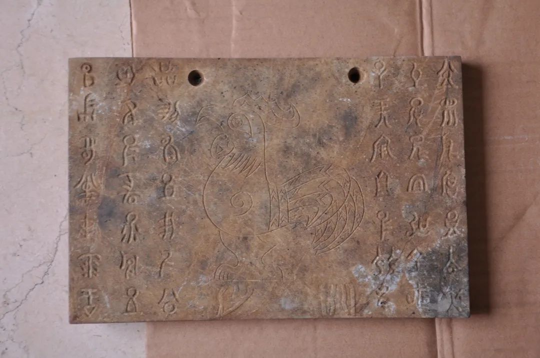 20231204_150050_007.jpg 20231204_150050_007.jpg