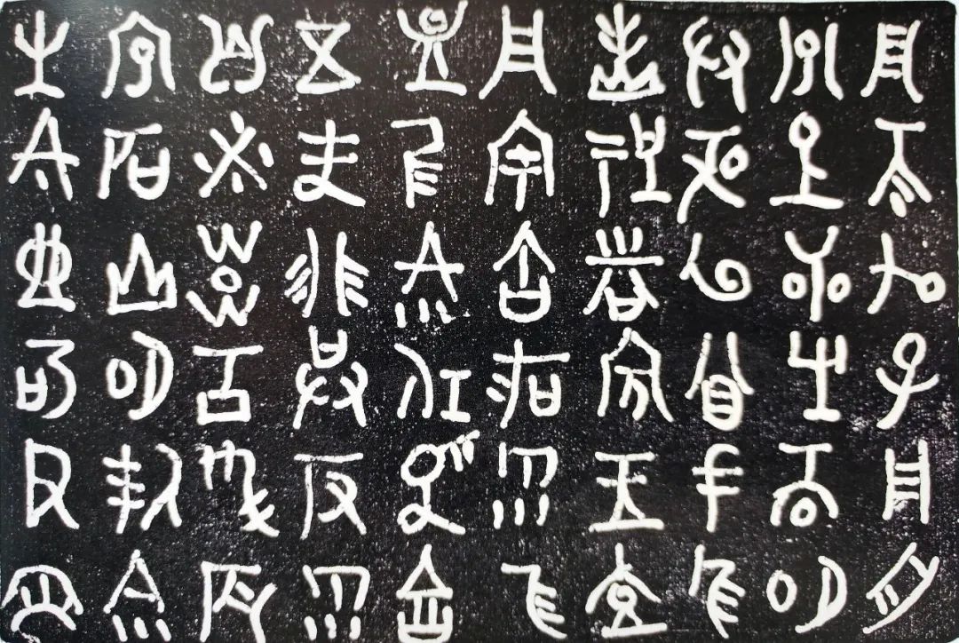 20231204_150050_002.jpg 20231204_150050_002.jpg