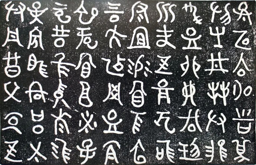 20231204_150050_003.jpg 20231204_150050_003.jpg